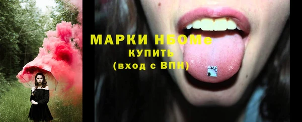 МДПВ Горняк