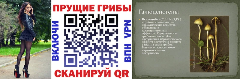 наркотики Озёрск Псилоцибиновые грибы ЛСД